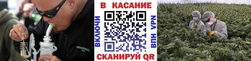 Виды наркотиков купить Арзамас Галлюциногенные грибы Канабис omg ссылки ГАШ КОКАИН Меф мяу мяу