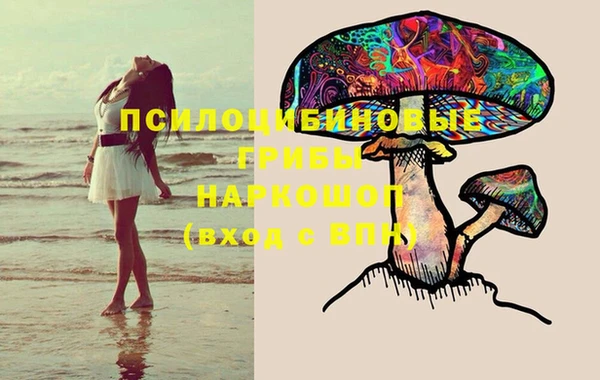 ешки Алзамай
