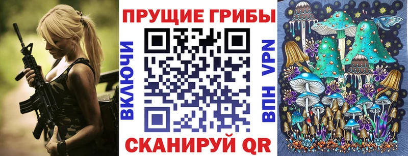 Псилоцибиновые грибы Cubensis  закладки  Арзамас 