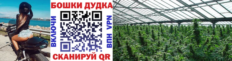 МАРИХУАНА планчик  закладки  Арзамас 